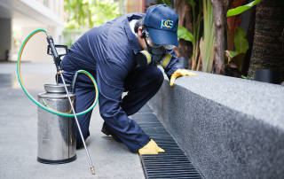 pest-control