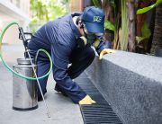 pest-control